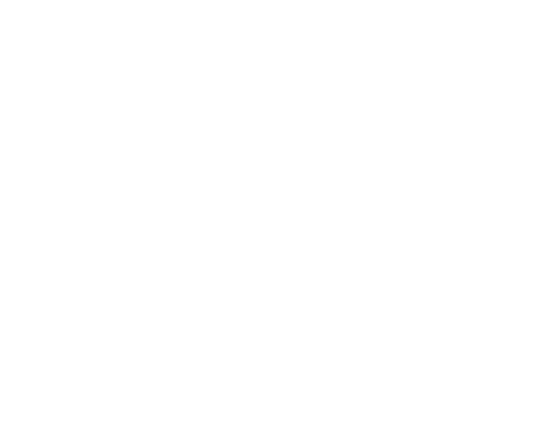 55 REDEC
