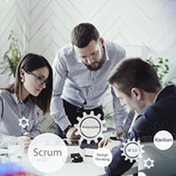 Liderazgo y gestión Agile para el desarrollo de software